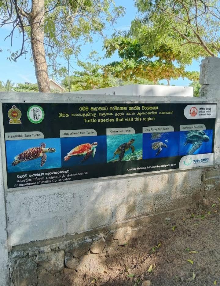 Hotel Golden Bell Tangalle Kültér fotó